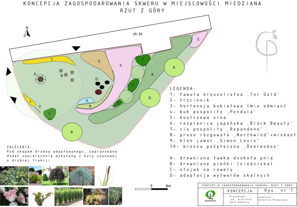 sara-sebrala-rewitalizacja-krajobrazu